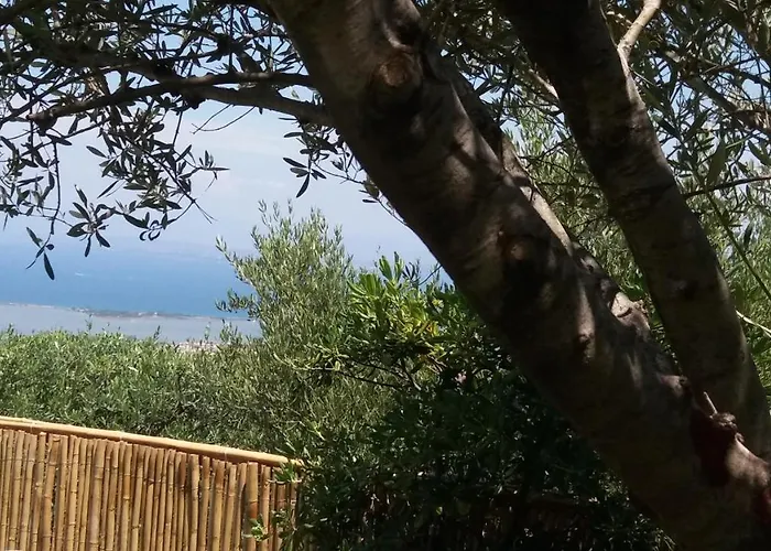 Amelia Spanokhórion